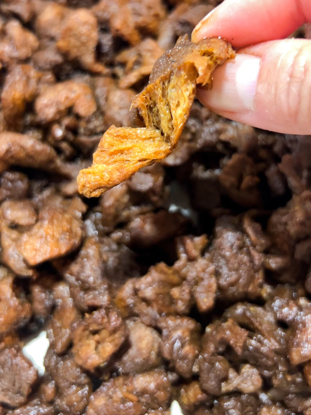 Pea Protein Char Siu